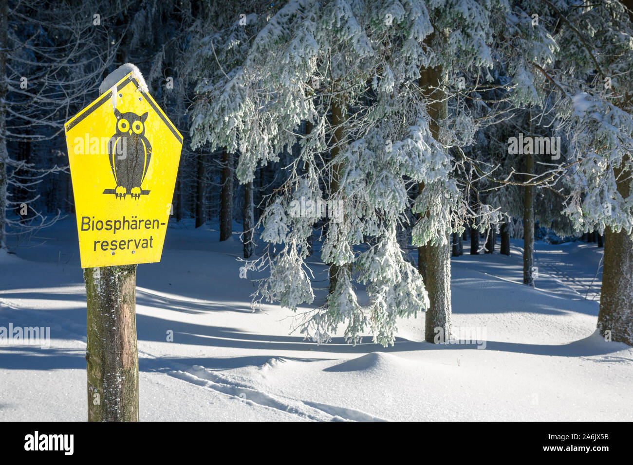 view of a nature reserve winter landscape Thuringian Forest, Oberhof, Rennsteig Stock Photo