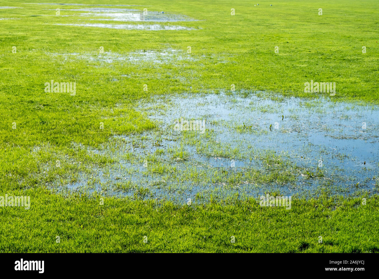 Waterlogged field of grass, Nottinghamshire, England, UK Stock Photo