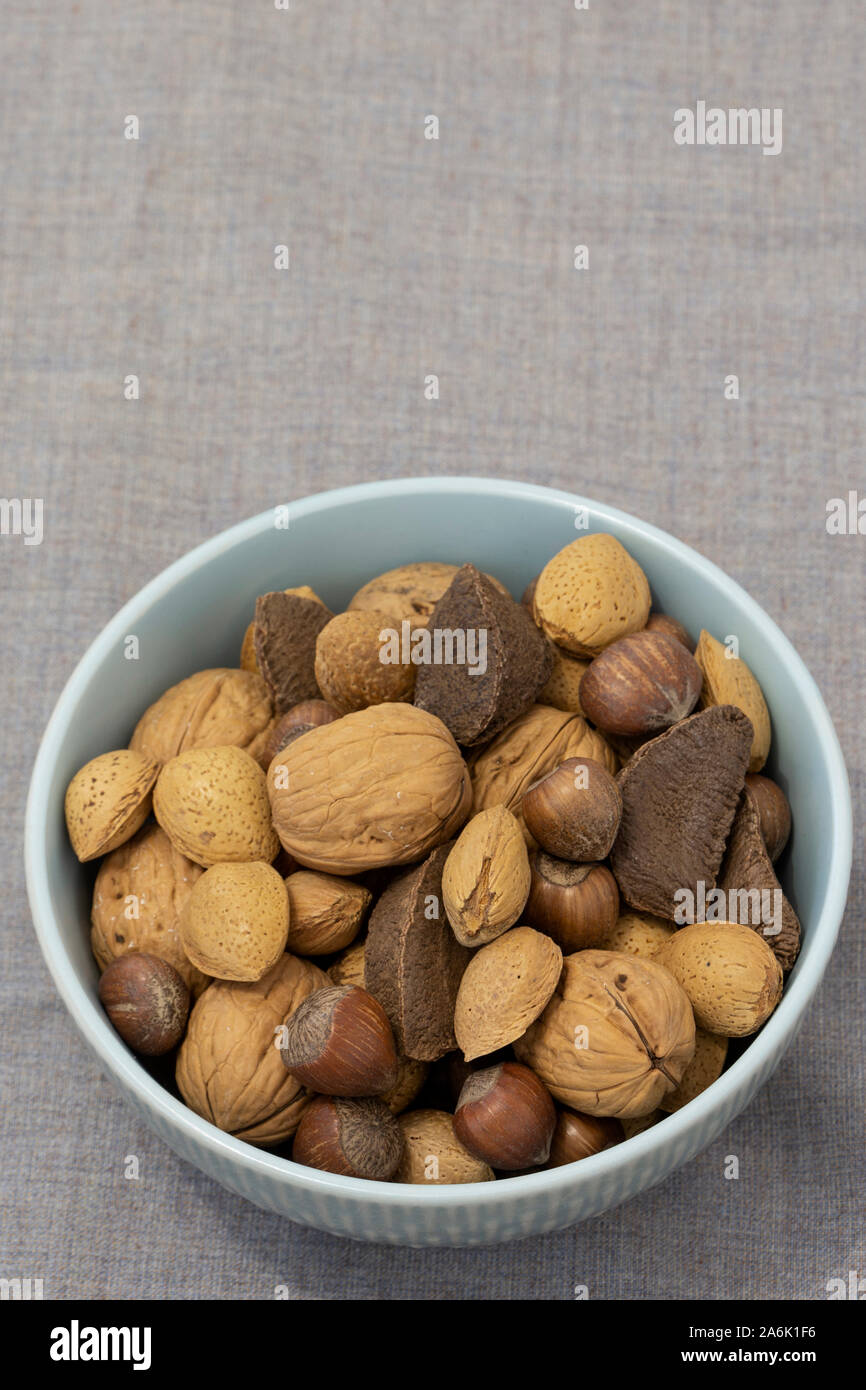 Raw Brown Organic Brazil Nuts in the Shell Stock Photo - Alamy