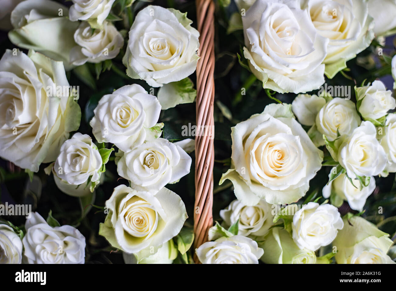 Variety of white roses in beautiful bouquet Stock Photo - Alamy