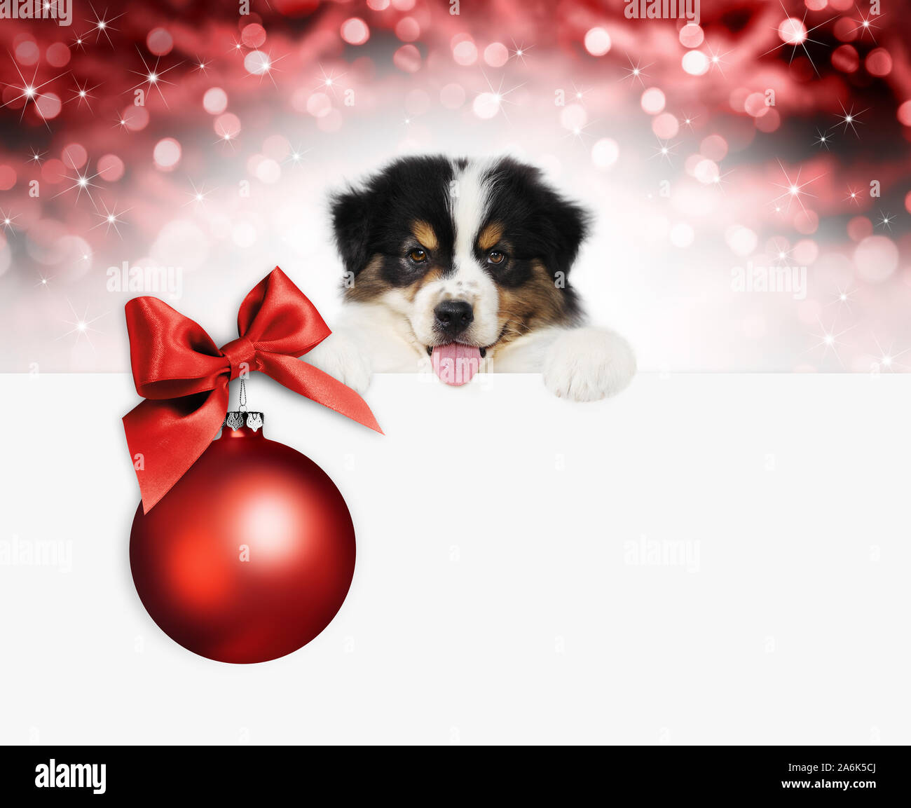 Page 14 Christmas And Happy New Year High Resolution Stock Photography And Images Alamy Page 14 Christmas And Happy New Year High Resolution Stock Photography And Images Alamy