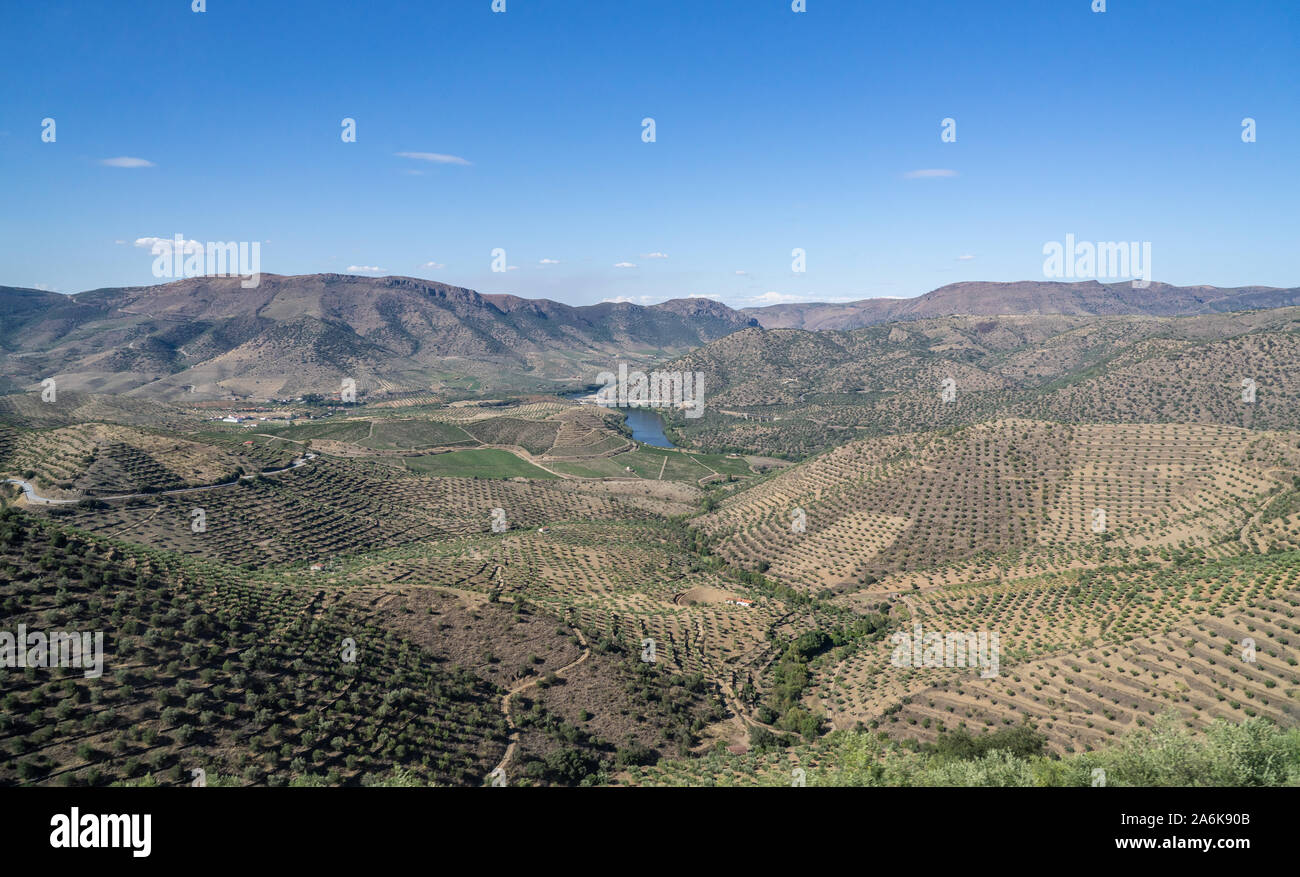 Terraces of grape vines for port wine production line the hillsides of the Douro valley at Barca de Alva in Portugal Stock Photo