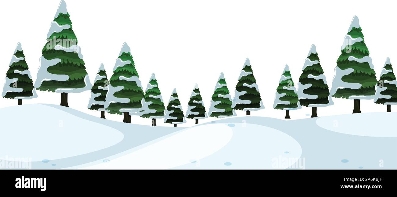 Scenery background of pine trees with snow illustration Stock Vector ...