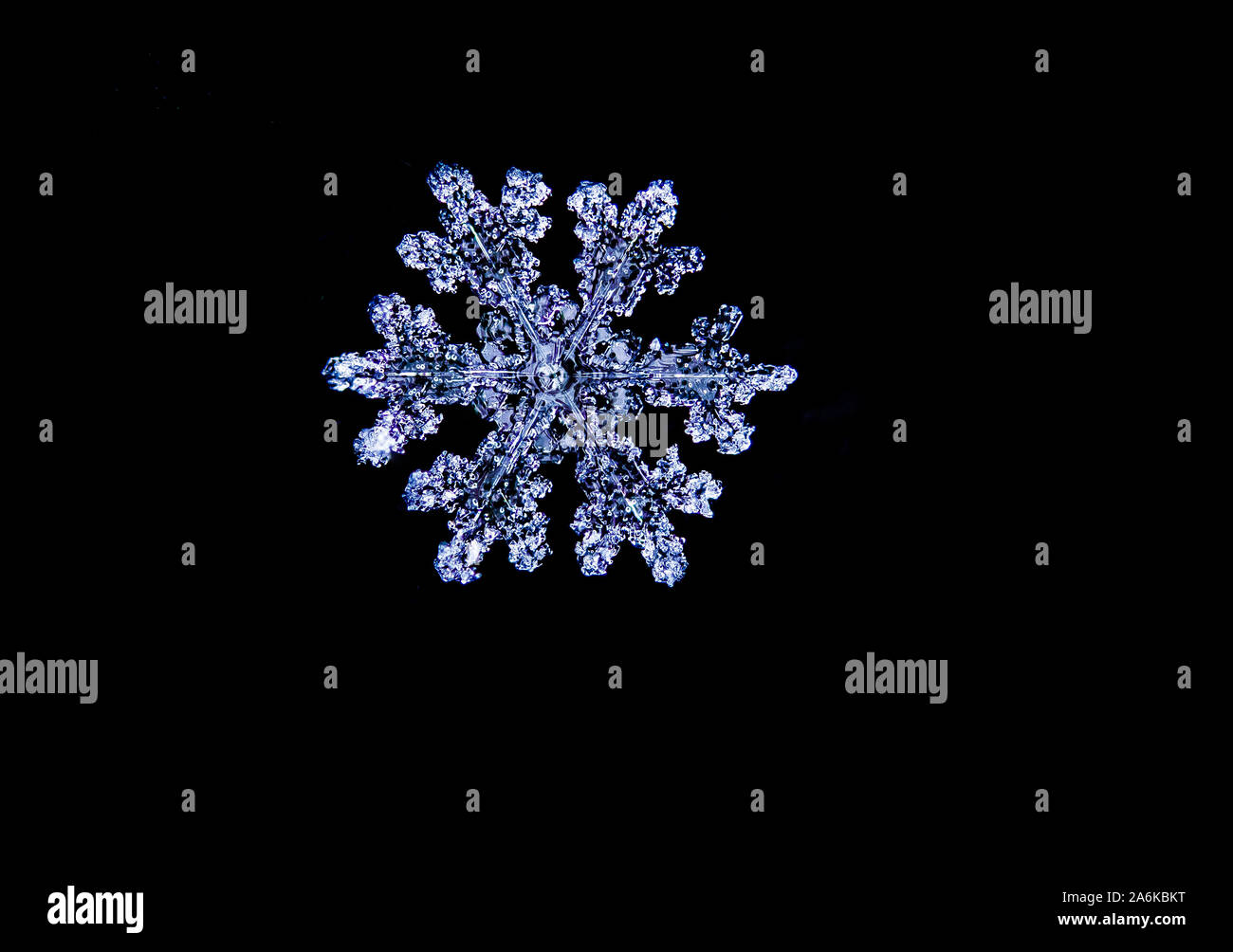 Beautiful and Unique Snowflake Macro Stock Photo