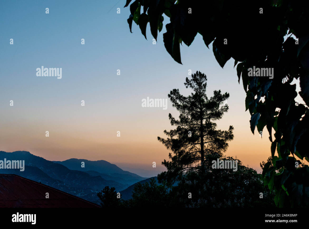 Single tree silhouette sunrise at dawn in mountains Stock Photo