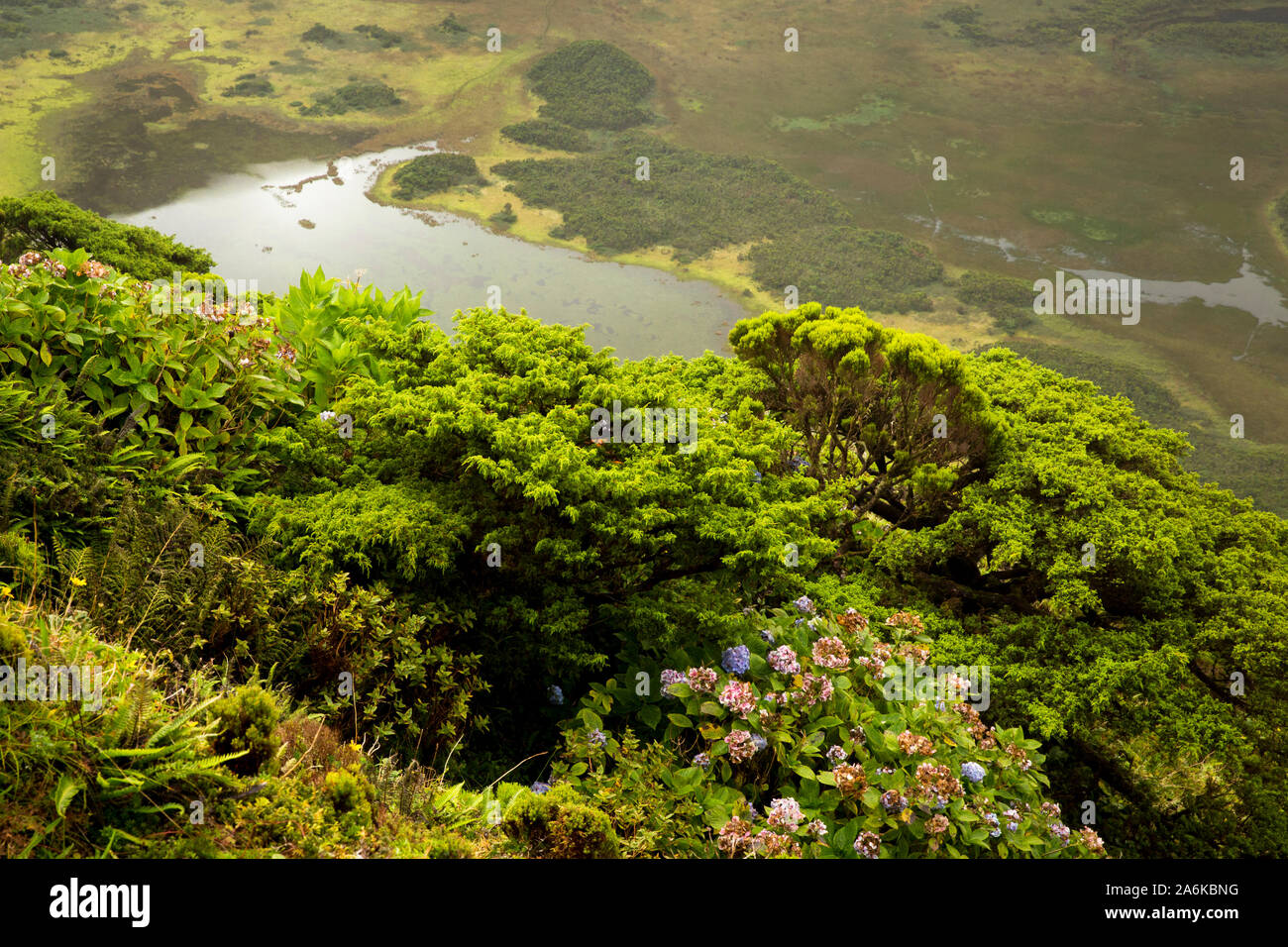 Faial caldera and lagoon. Azores, Portugal Stock Photo