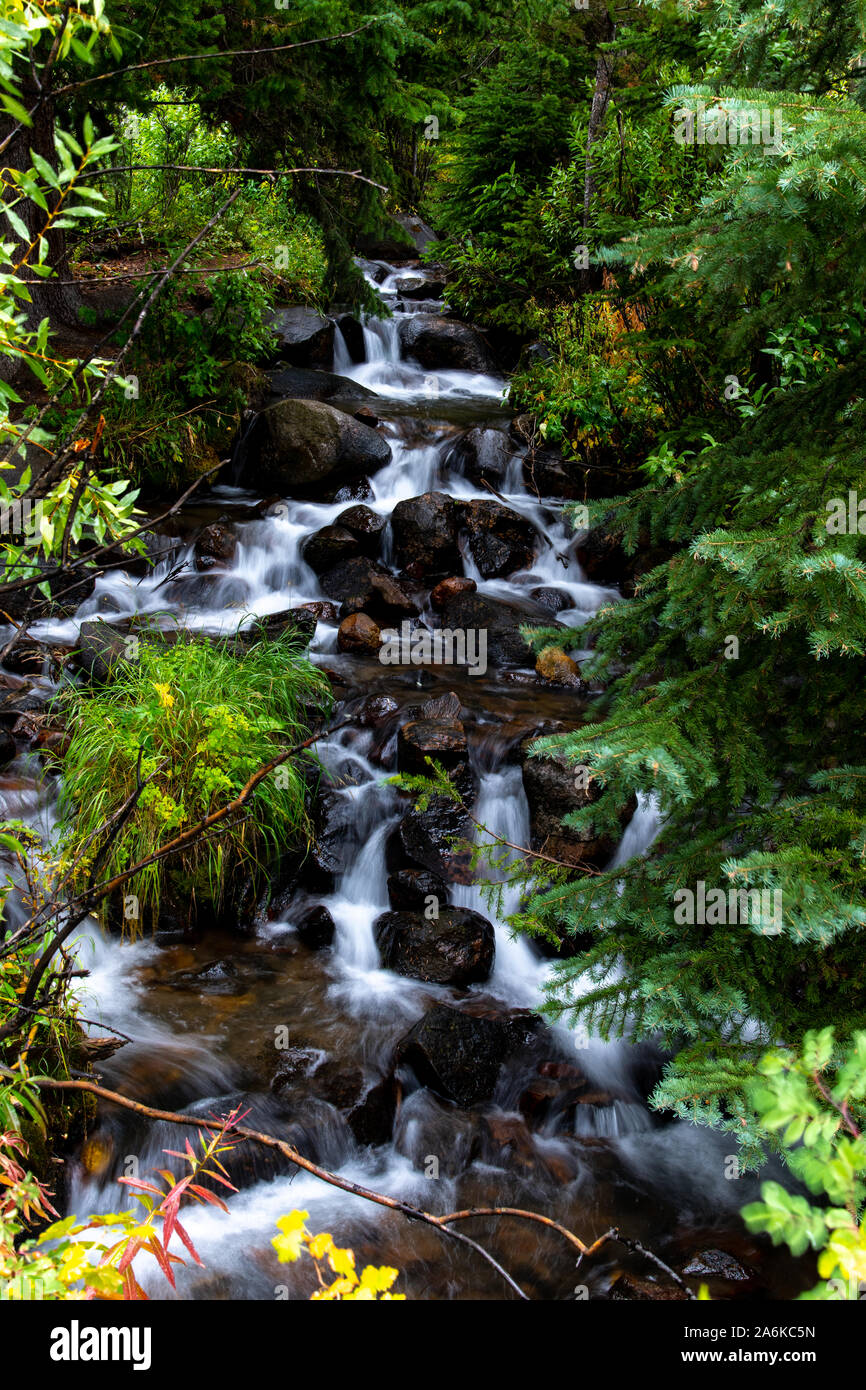Creek stream course fall hi res stock photography and images Alamy