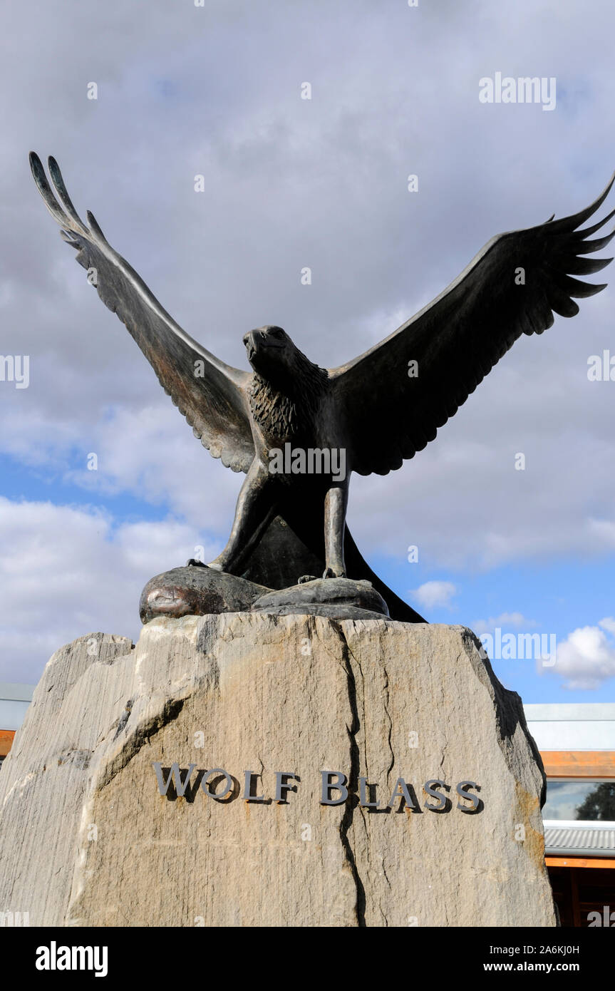 the Wolf Blass wine estate visitors centre in the Barossa Valley near Adelaide in Victoria Stock Photo