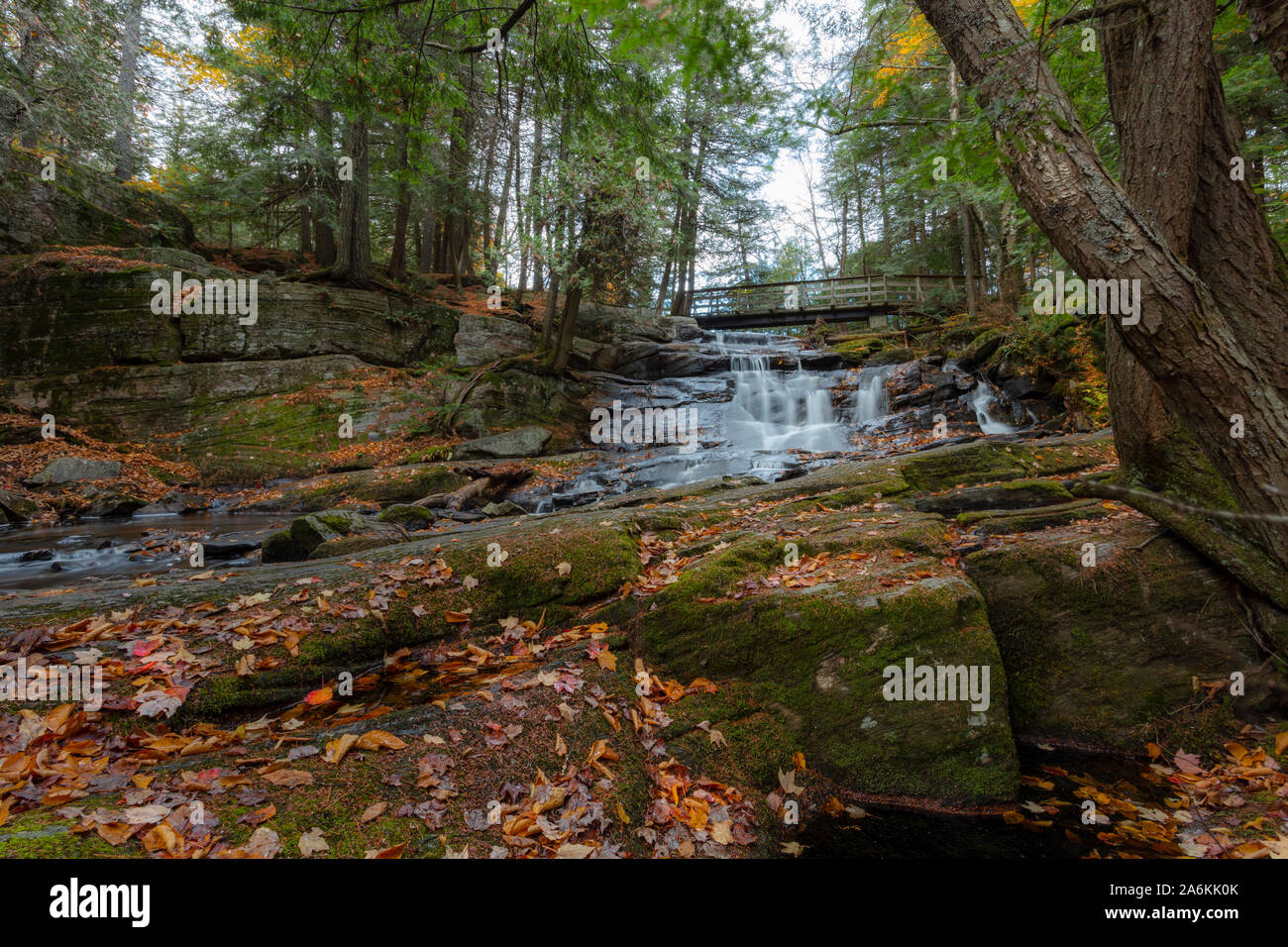 Potts Falls in autumn, tucked away in Bracebridge, Ontario. Stock Photo