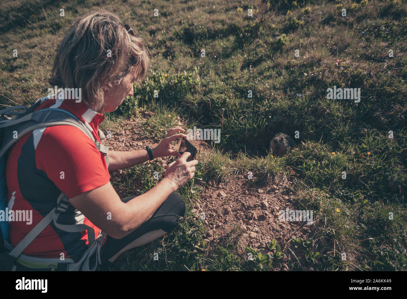 Woman intent on photographing a marmot with a smartphone Stock Photo