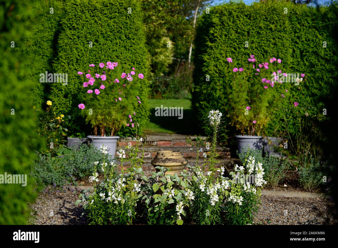 Flowers garden bird bath hi-res stock photography and images - Alamy