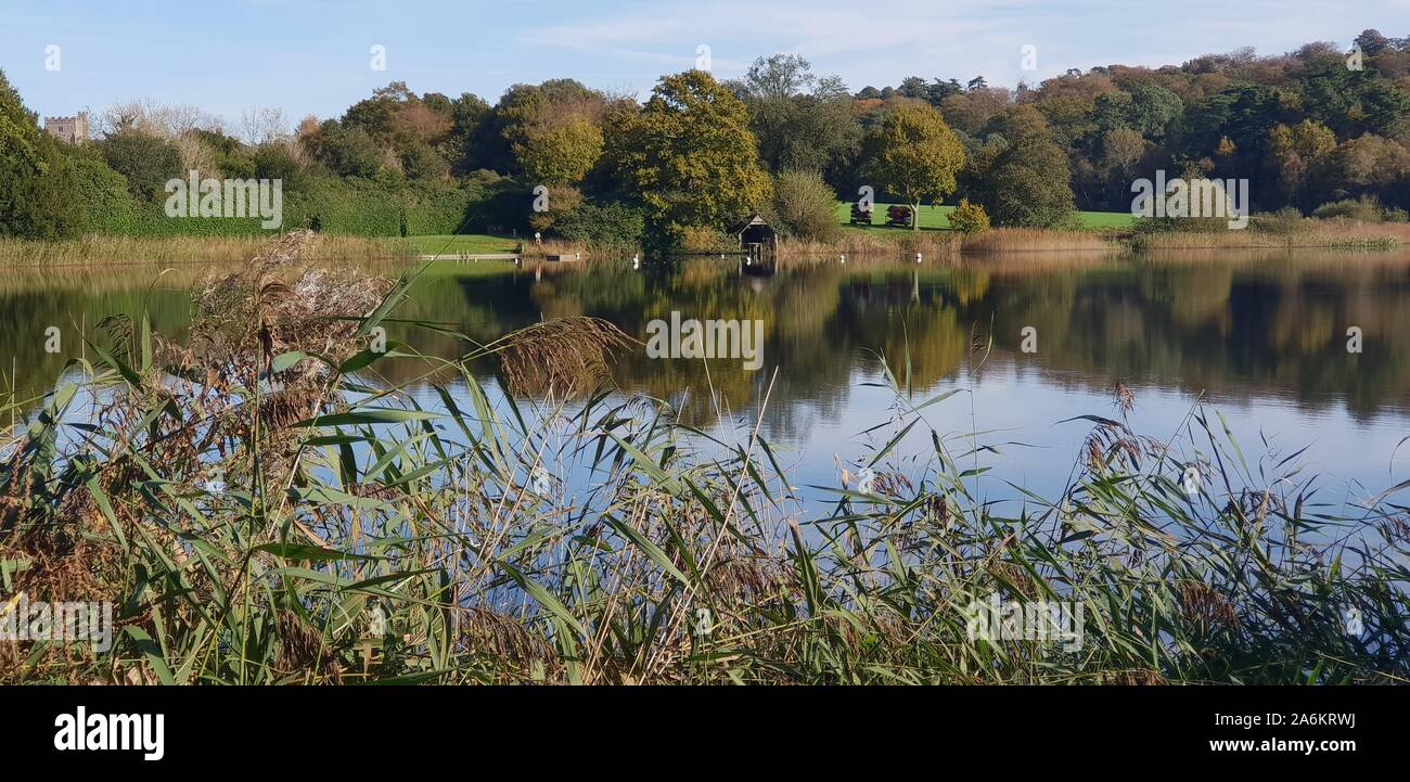 Lake with reflection at Ashburnham Place Stock Photo Alamy