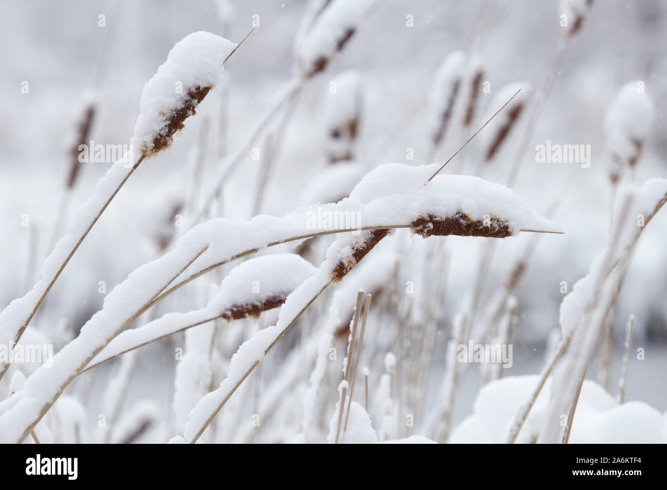 Middletown new york hi-res stock photography and images - Alamy