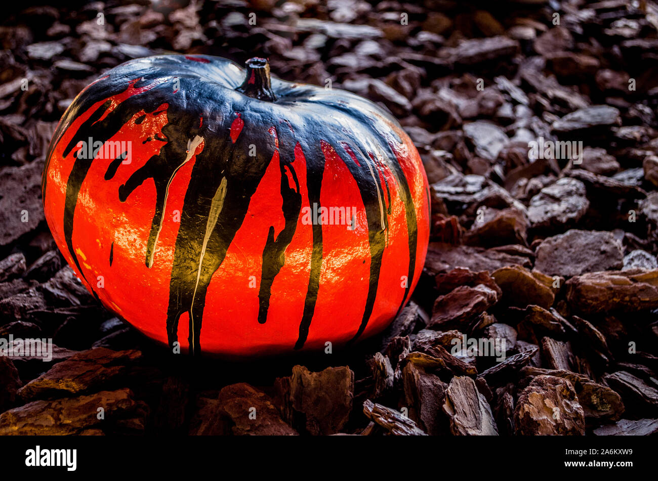 Pumpkin painted in black. Image with place for halloween text Stock ...