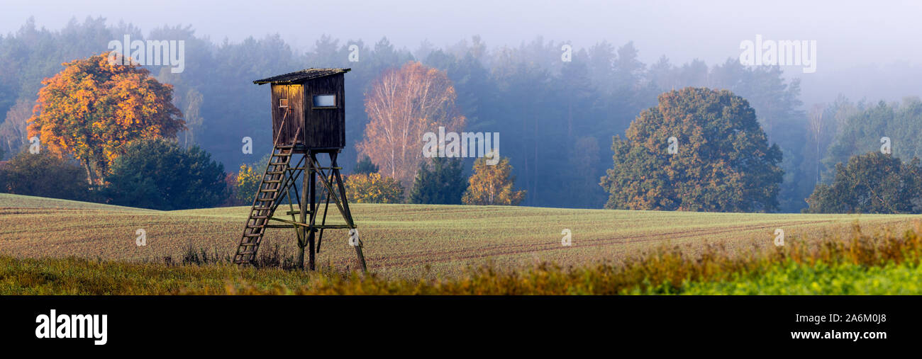 Hunting tower on the edge of the forest during a beautiful sunrise on a foggy morning Stock Photo