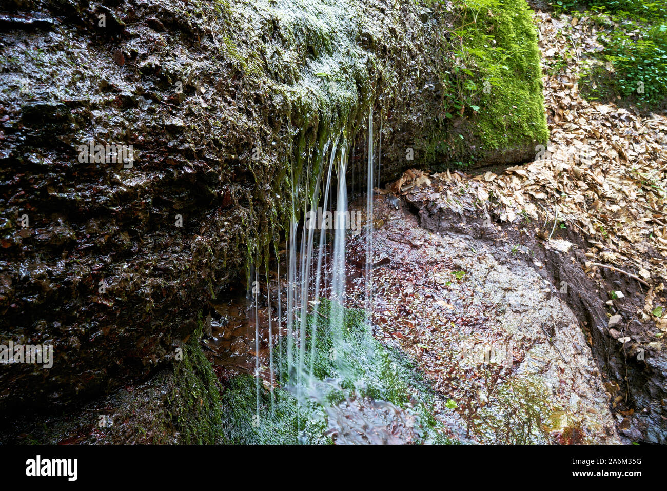 Spring water on a hiking trail through the Landgrafenschlucht at Eisenach in Thuringia Stock Photo