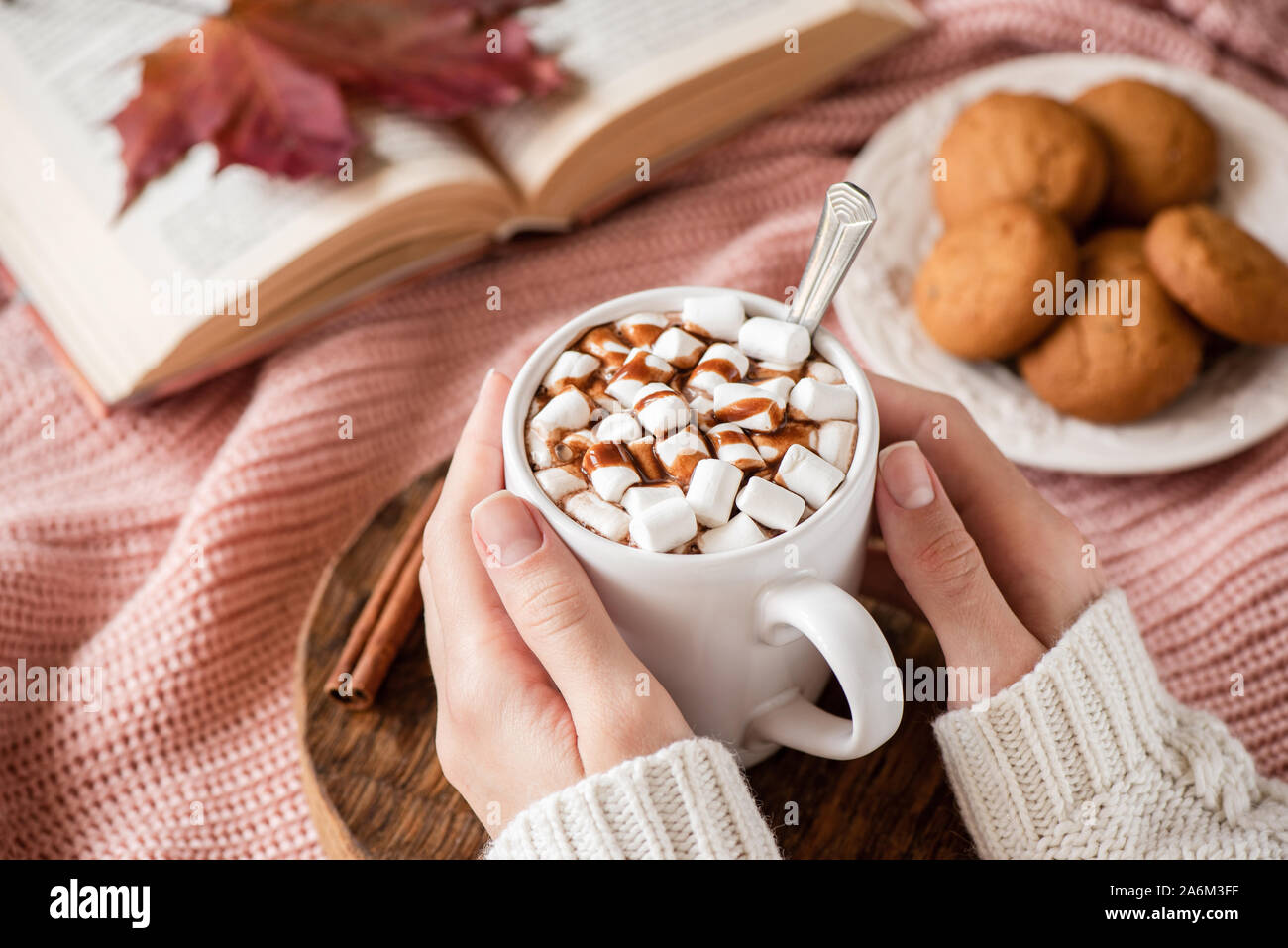 Hot chocolate with marshmallows in female hands. Hot beverage cozy comfort food for autumn and winter holidays season Stock Photo