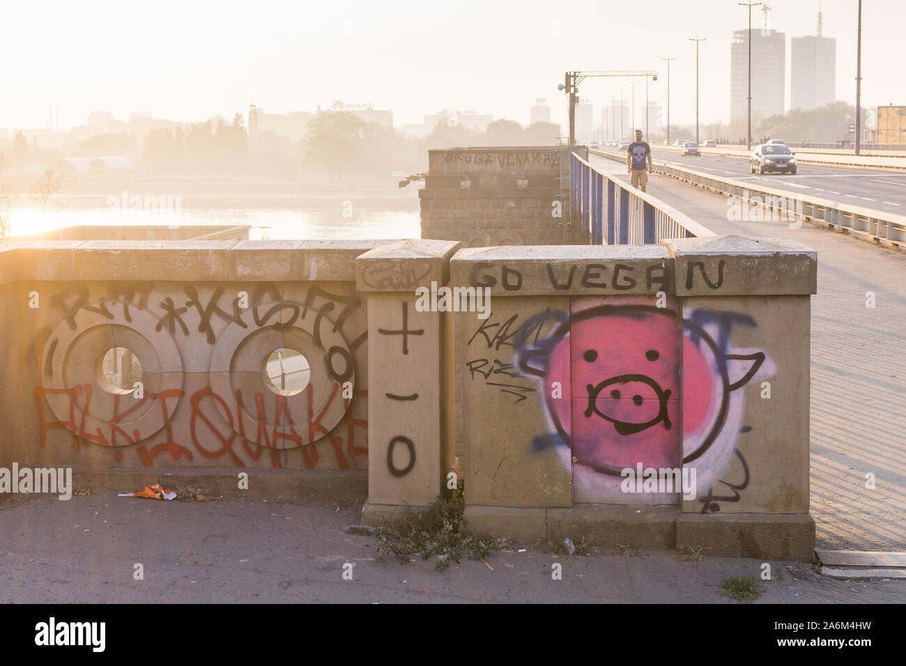 Go Vegan graffiti - Vegan street art on the Branko Bridge in Belgrade, Serbia, Europe. Stock Photo