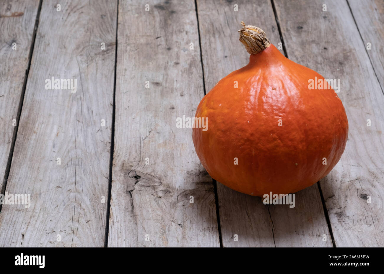 Uchiki kuri squash, a pumpkin type vegetable known as onion squash which is like a small pumpkin Stock Photo