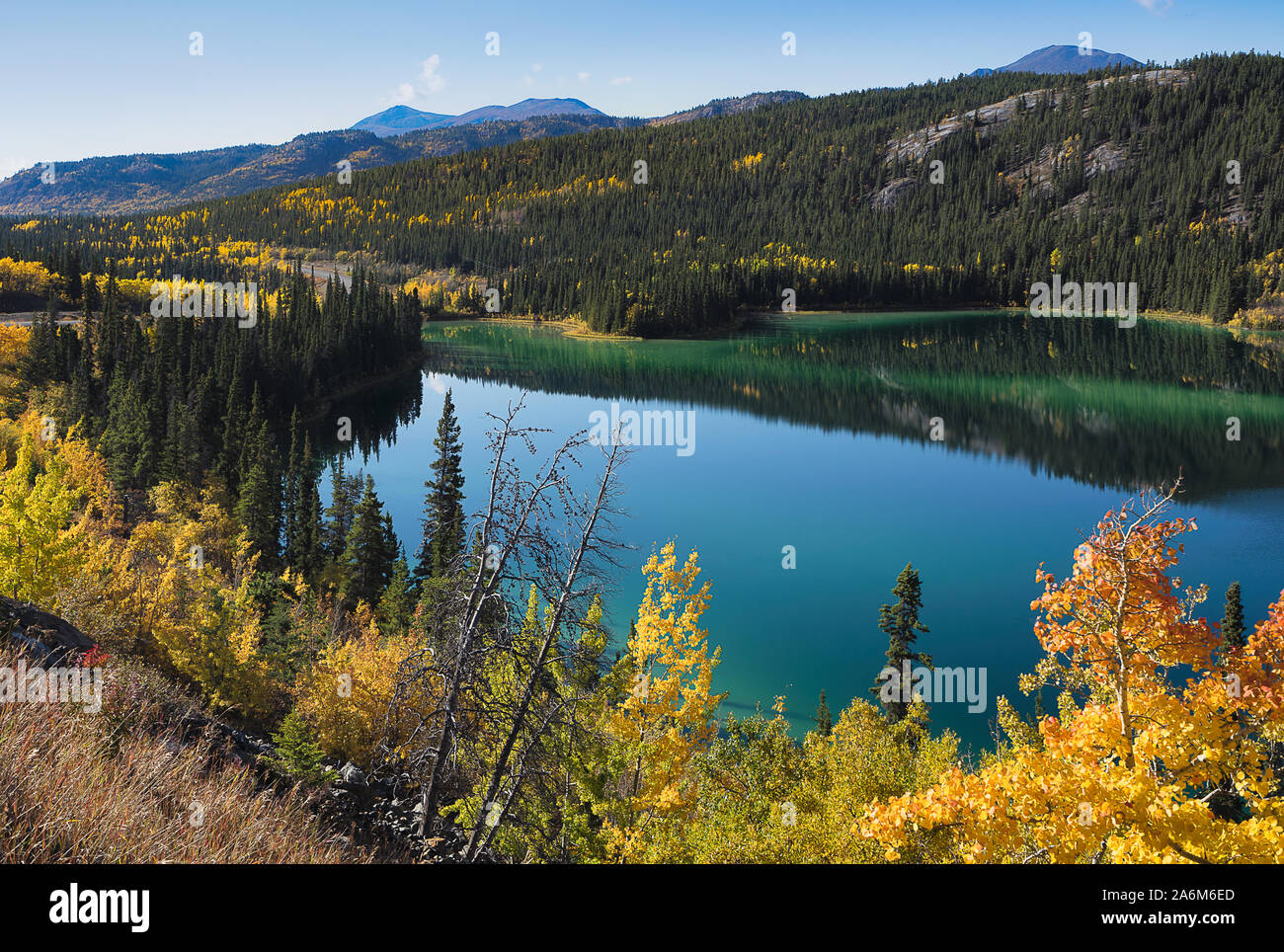 Emerald lake north of Carcross in the Yukon Territory with the trees showing autumn colours Stock Photo