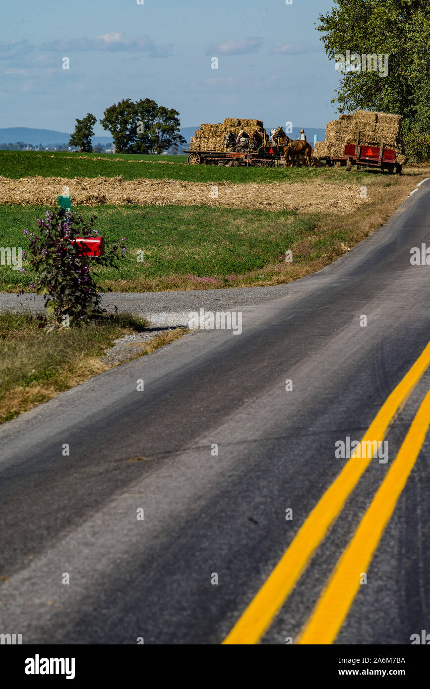 Amish farmers harvesting hay, Lancaster county Pennsylvania Stock Photo