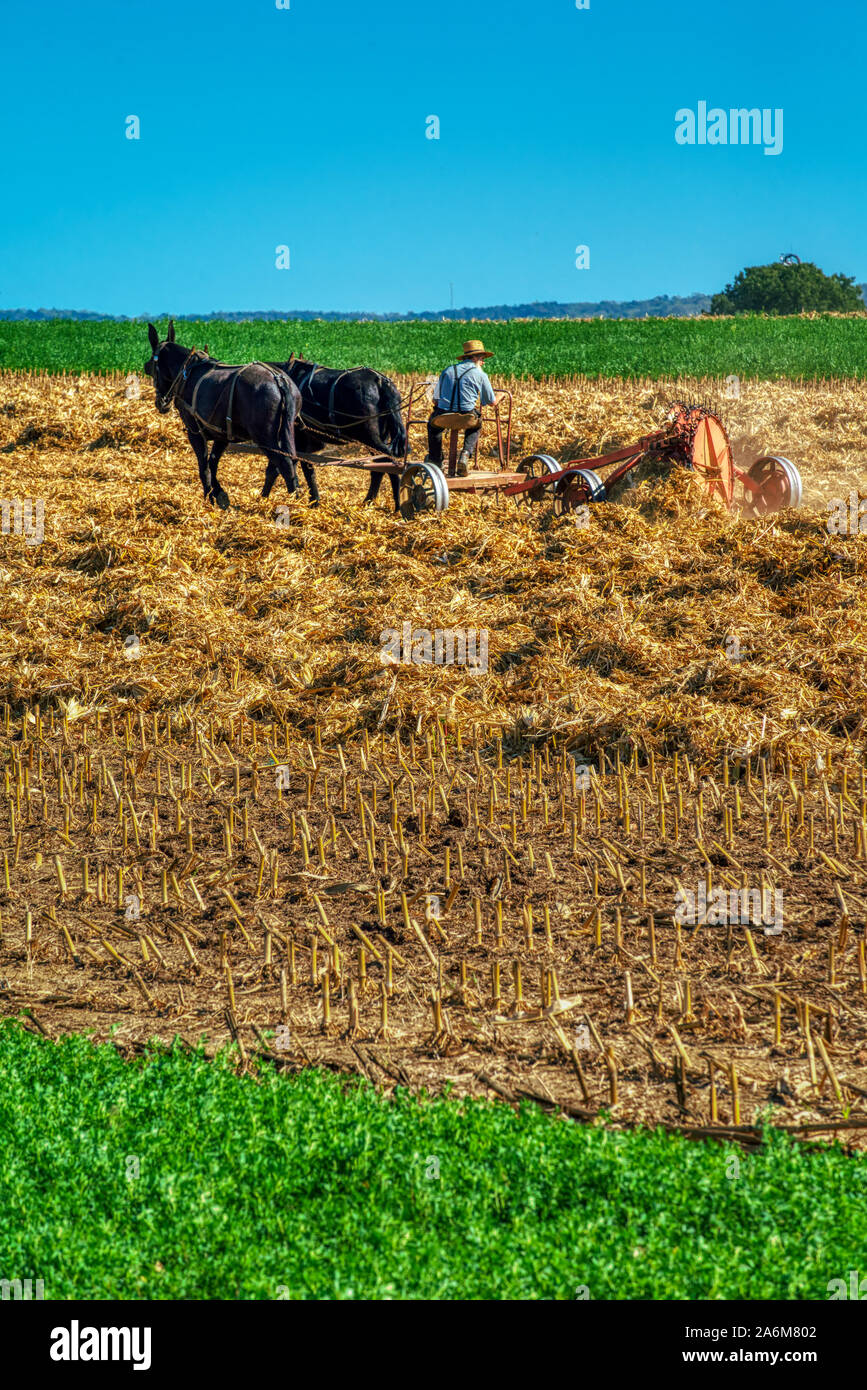 Amish farmers farm people hi-res stock photography and images - Alamy