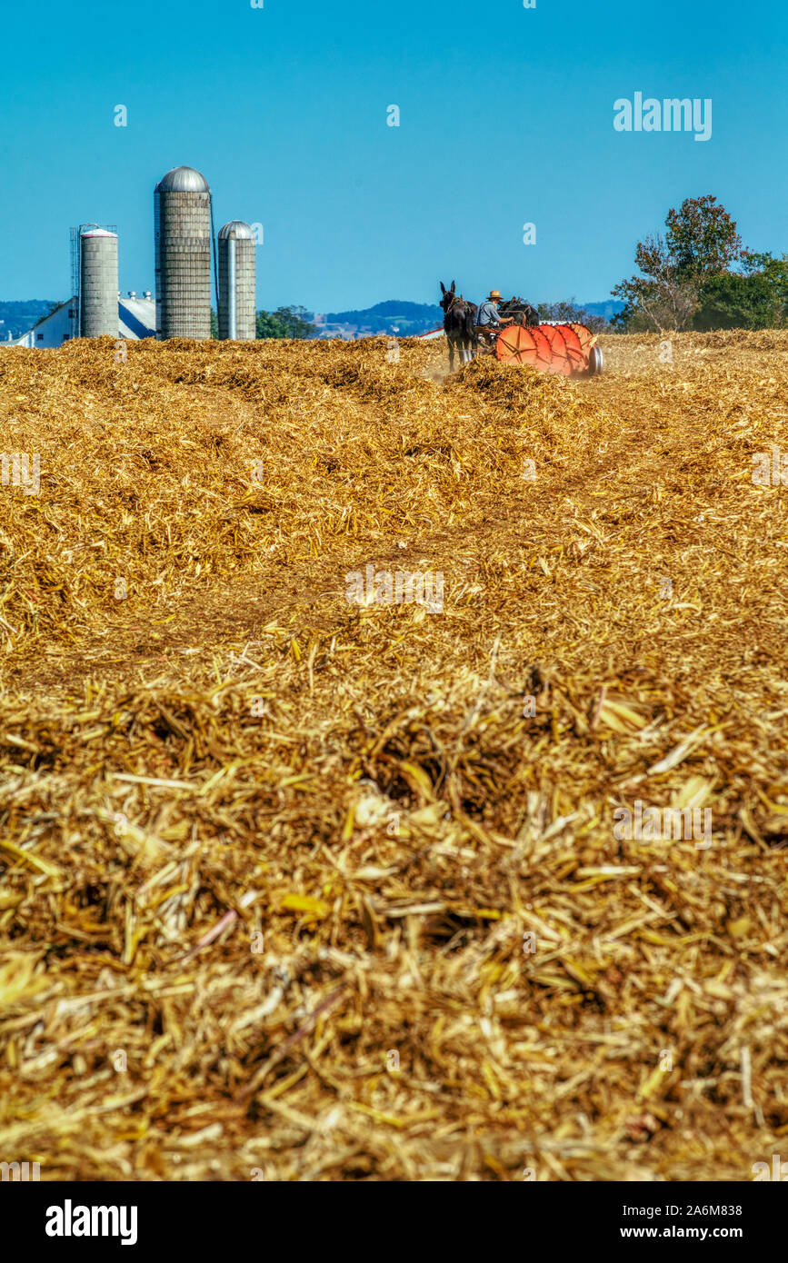 Amish farmers farm people hi-res stock photography and images - Alamy