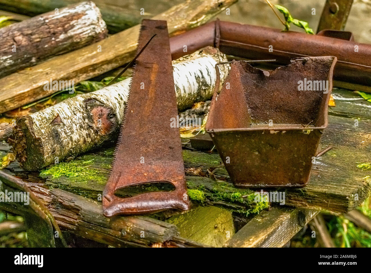 Old discarded things. Rusty hacksaw and bread baking dish. Stock Photo