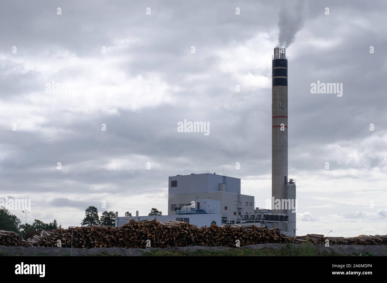 Log Factory Wood factory plant with logs piled outside of building Stock Photo - Alamy