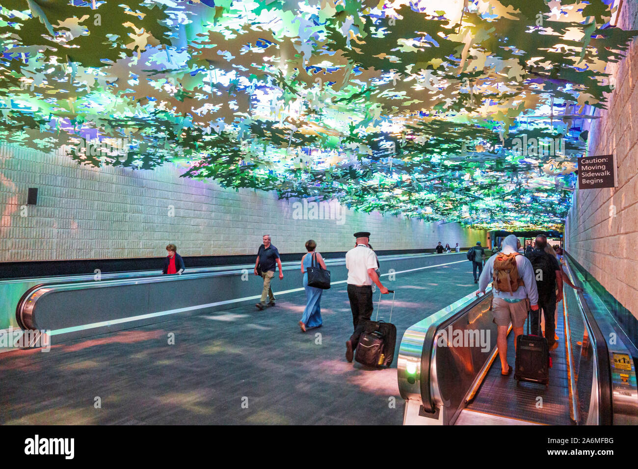 Georgia,Atlanta,Hartsfield-Jackson Atlanta International Airport,inside,underground people-mover tunnel,ceiling art installation,public artwork,Flight Stock Photo