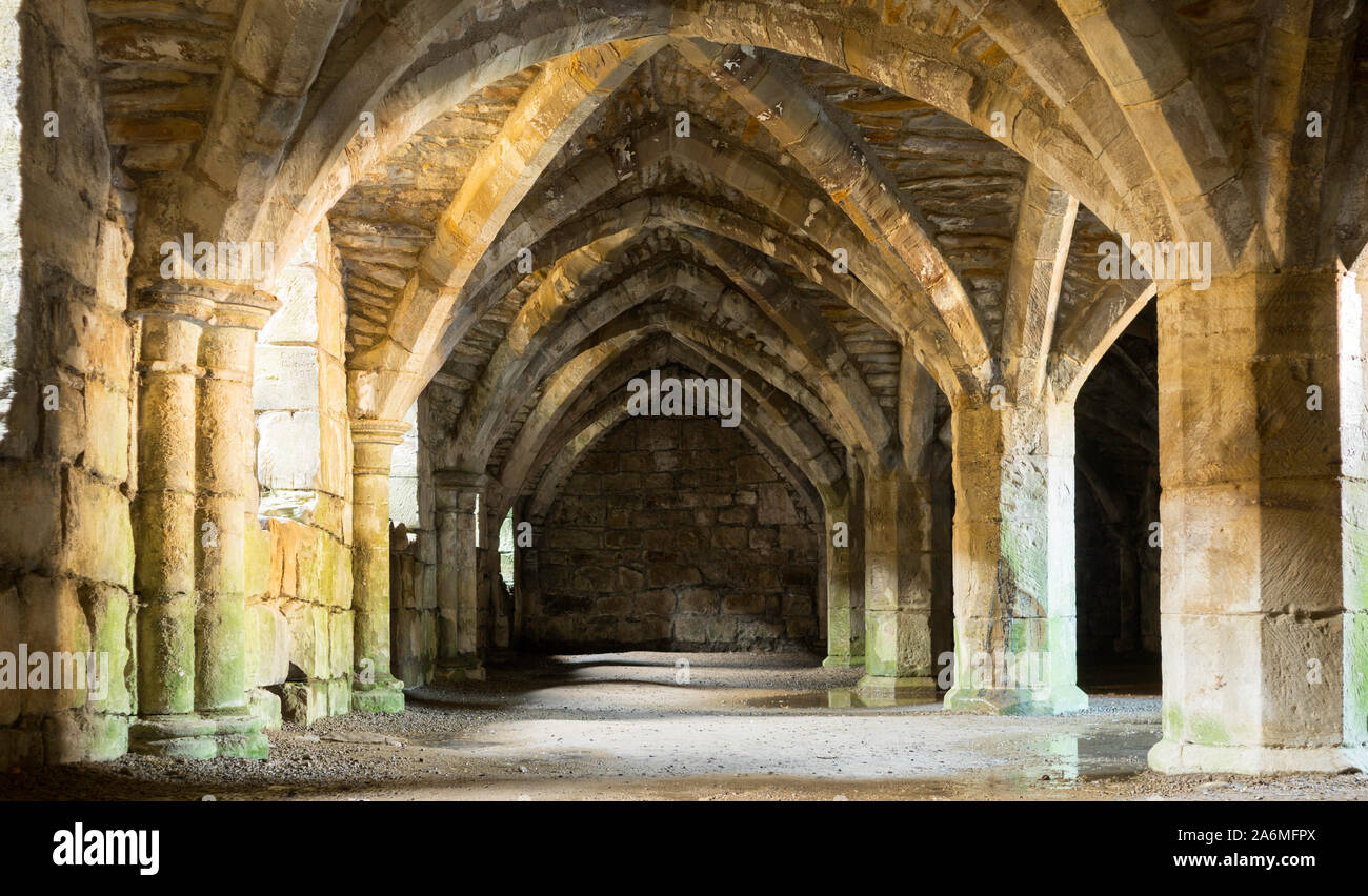 The frater undercroft of Finchale Priory, County Durham, England, UK Stock Photo