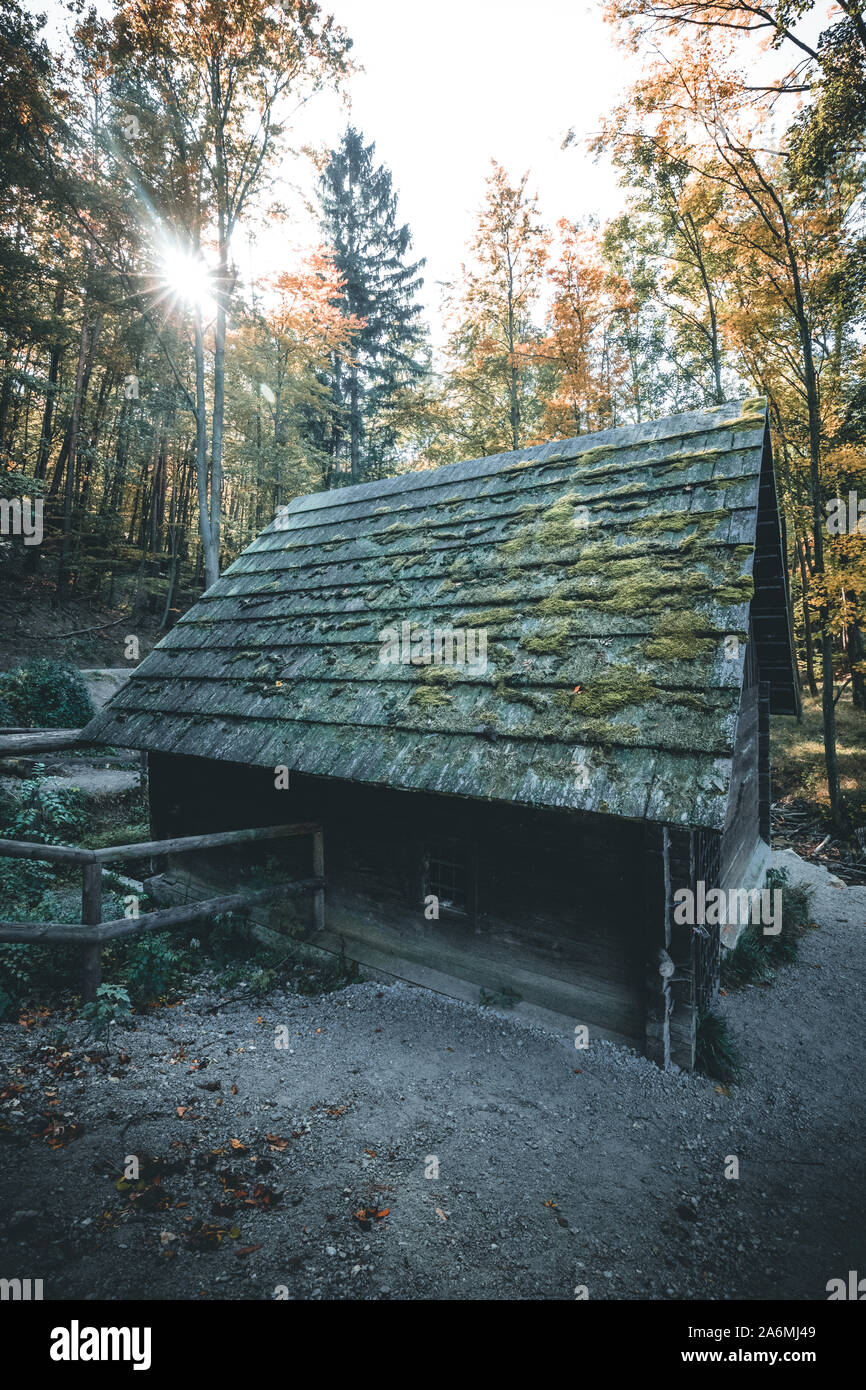 Lovely Wooden Cabins In The Forest In Austria Stock Photo
