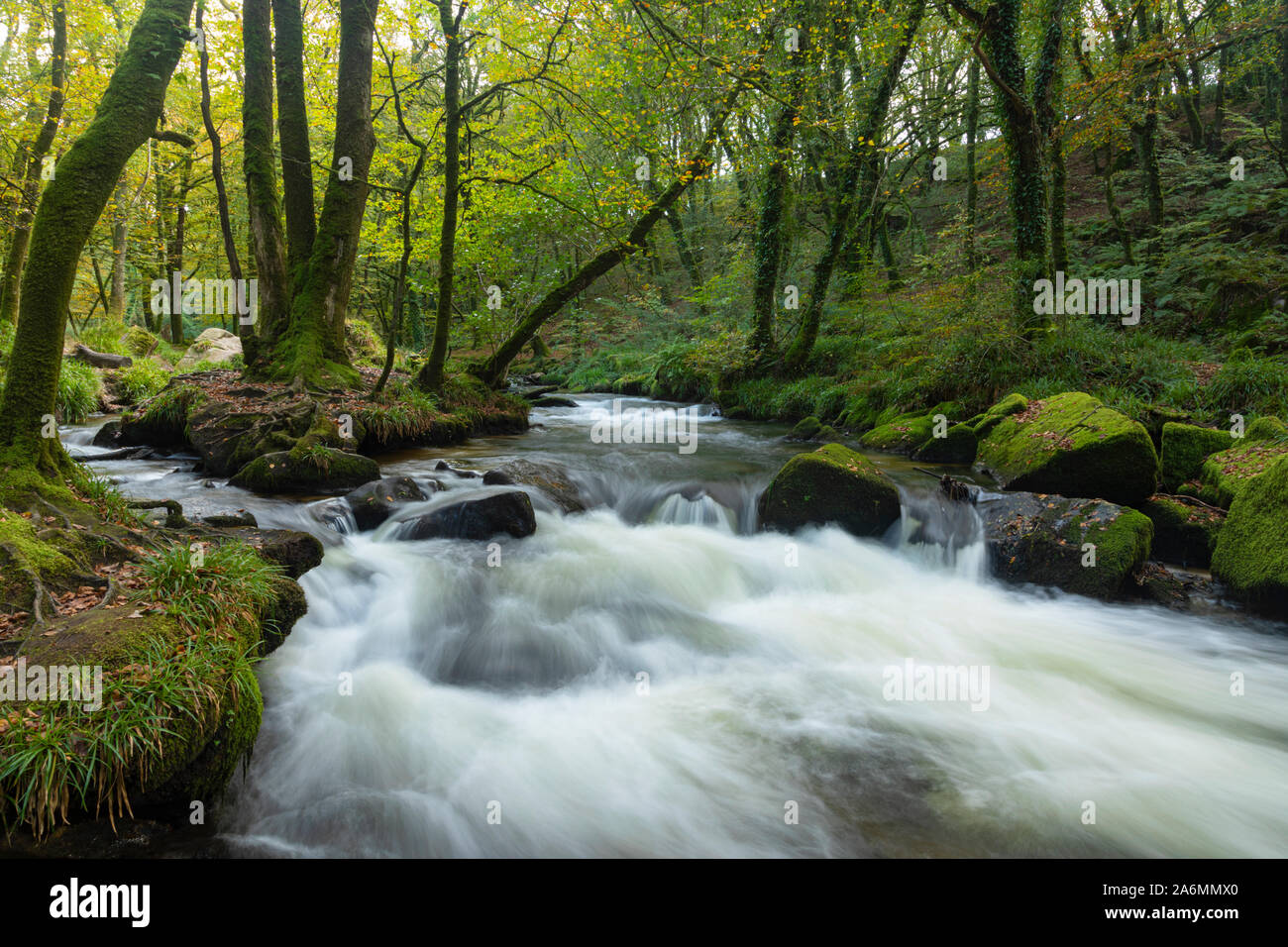 Golitha Falls  along the River Fowey in East Cornwall Stock Photo