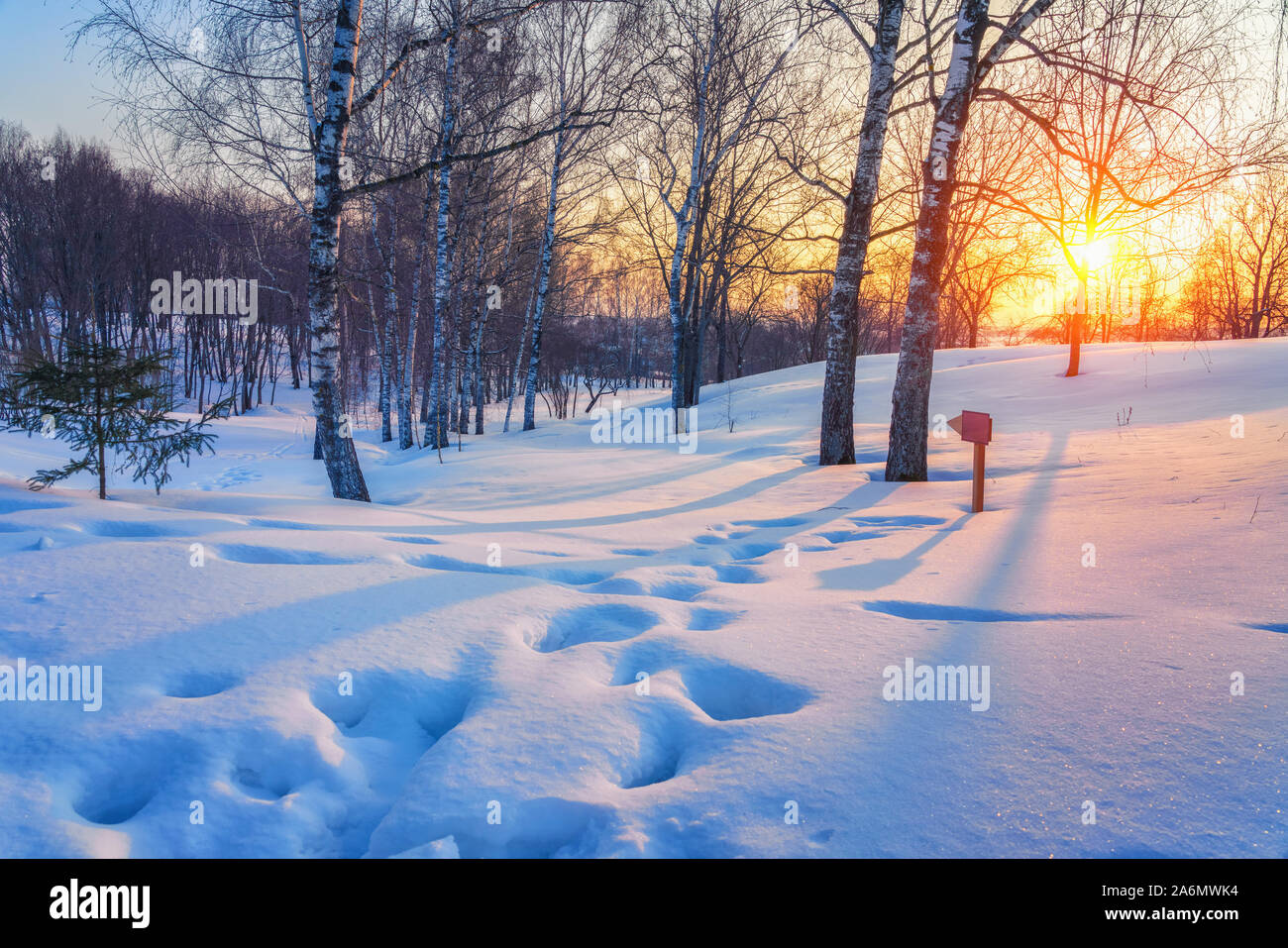 Colorful winter sunset Stock Photo