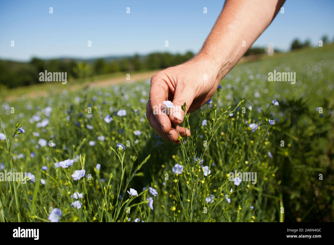 25 acre farm hires stock photography and images Alamy