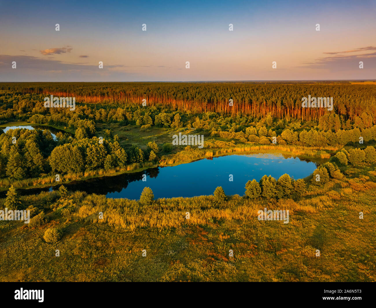 Field forest lake aerial view hi-res stock photography and images - Alamy