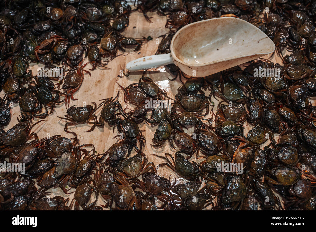 Small crabs on sale at the fish market in Cagliari Stock Photo - Alamy