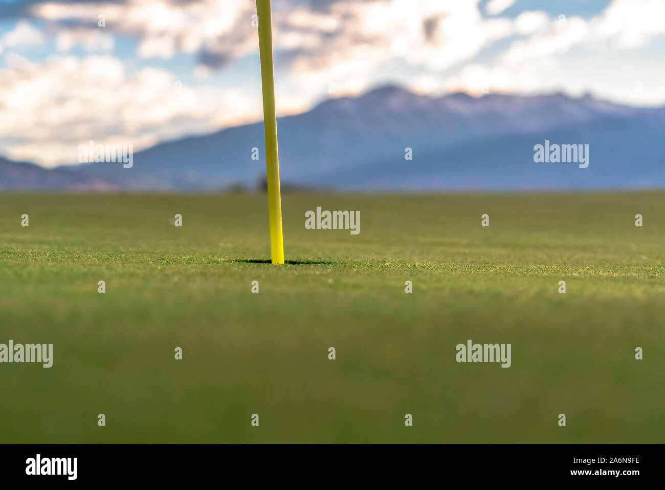 Focus on golf course yellow flagstick and hole in the middle of putting