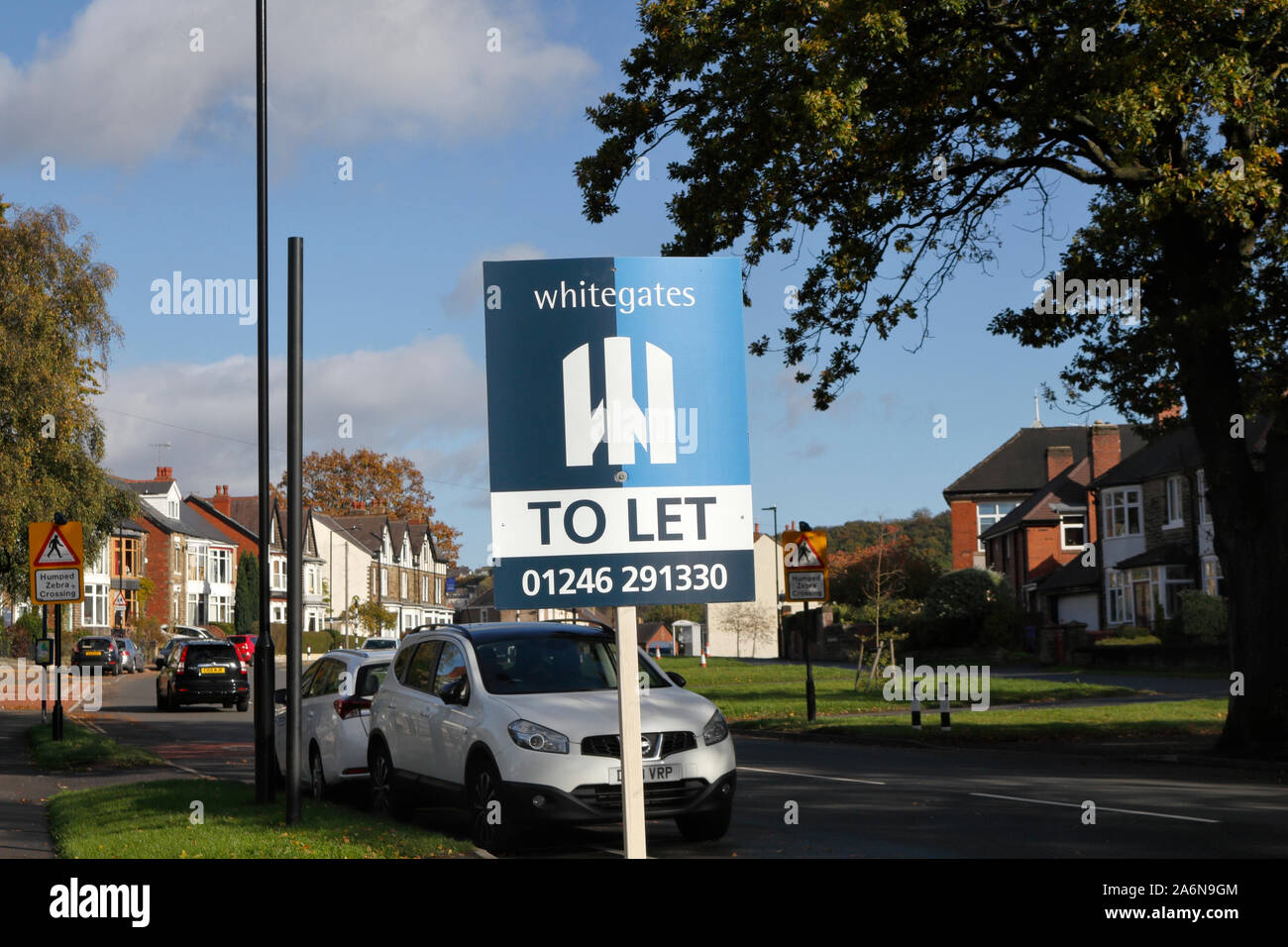 Whitegates letting Agent to let sign, Abbey lane Sheffield England UK Stock Photo