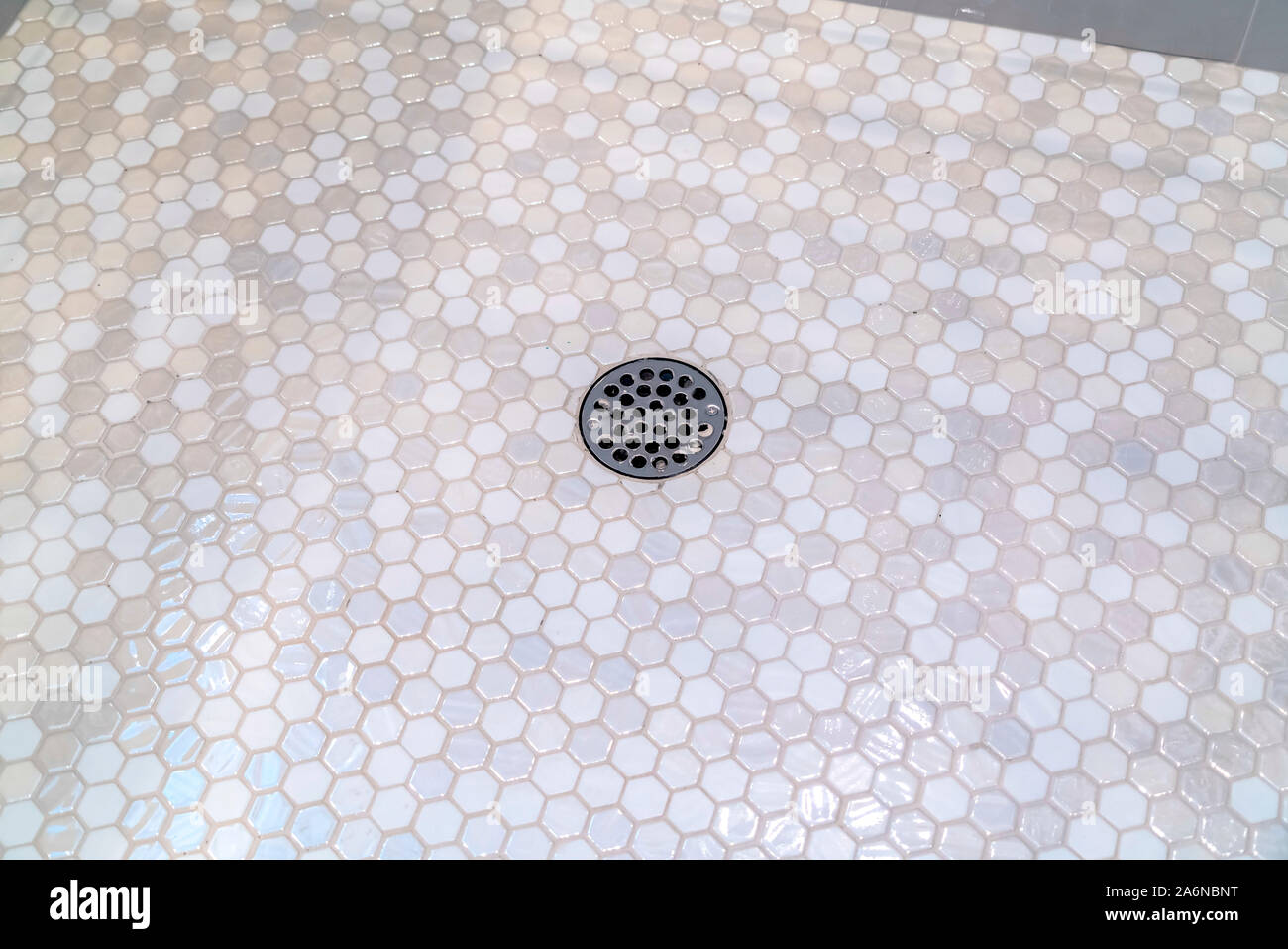 Drain plug in a shower cubicle floor Stock Photo Alamy