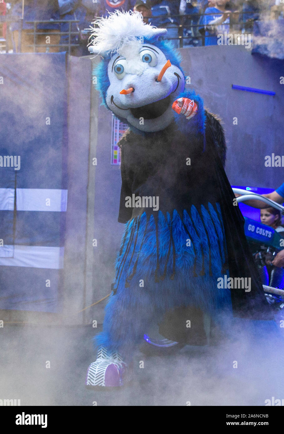 Indianapolis, Indiana, USA. 27th Oct, 2019. Indianapolis Colts mascot Blue during NFL football game action between the Denver Broncos and the Indianapolis Colts at Lucas Oil Stadium in Indianapolis, Indiana. Indianapolis defeated Denver 15-13. John Mersits/CSM/Alamy Live News Stock Photo
