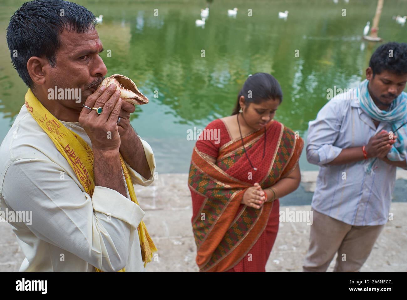 Conch shell india hi-res stock photography and images - Alamy