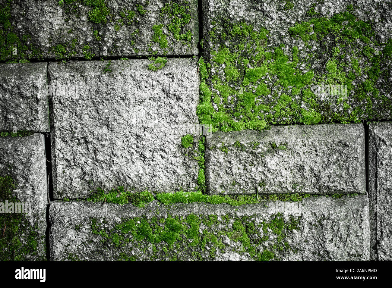 Moss overgrowing on stone blocks Stock Photo