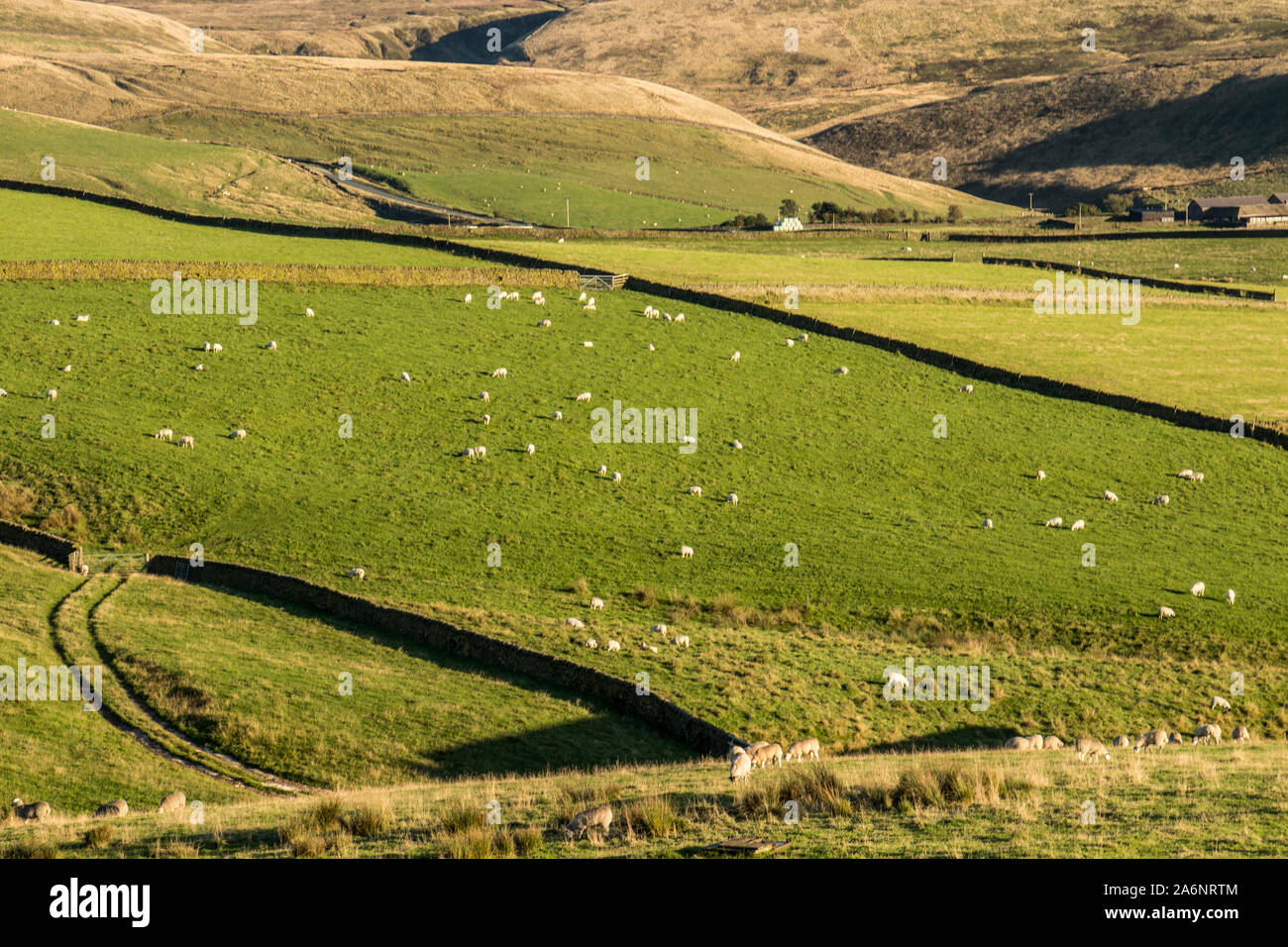 Old macclesfield road hires stock photography and images Alamy