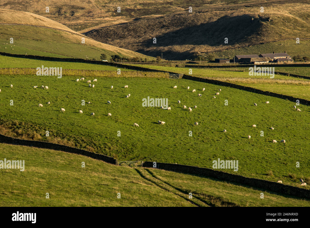 Old macclesfield road hires stock photography and images Alamy