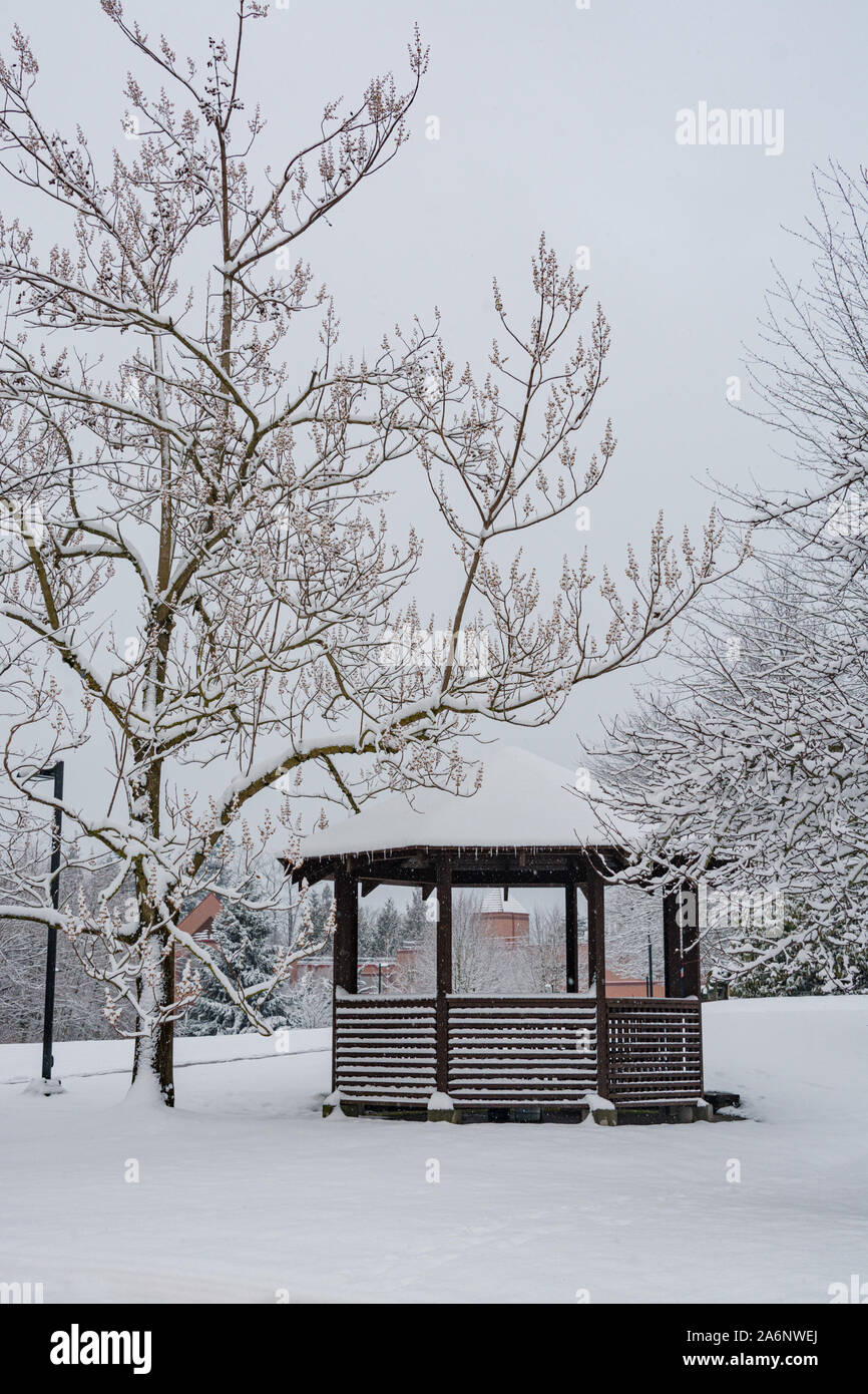 Wooden summer shelter under snow on winter season in Canada Stock Photo -  Alamy