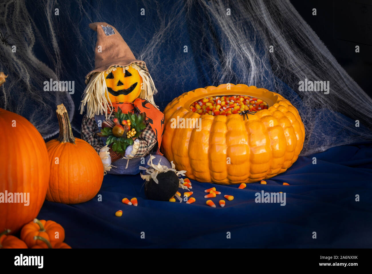 Closeup of a decorated car trunk for Trunk or Treat event, an