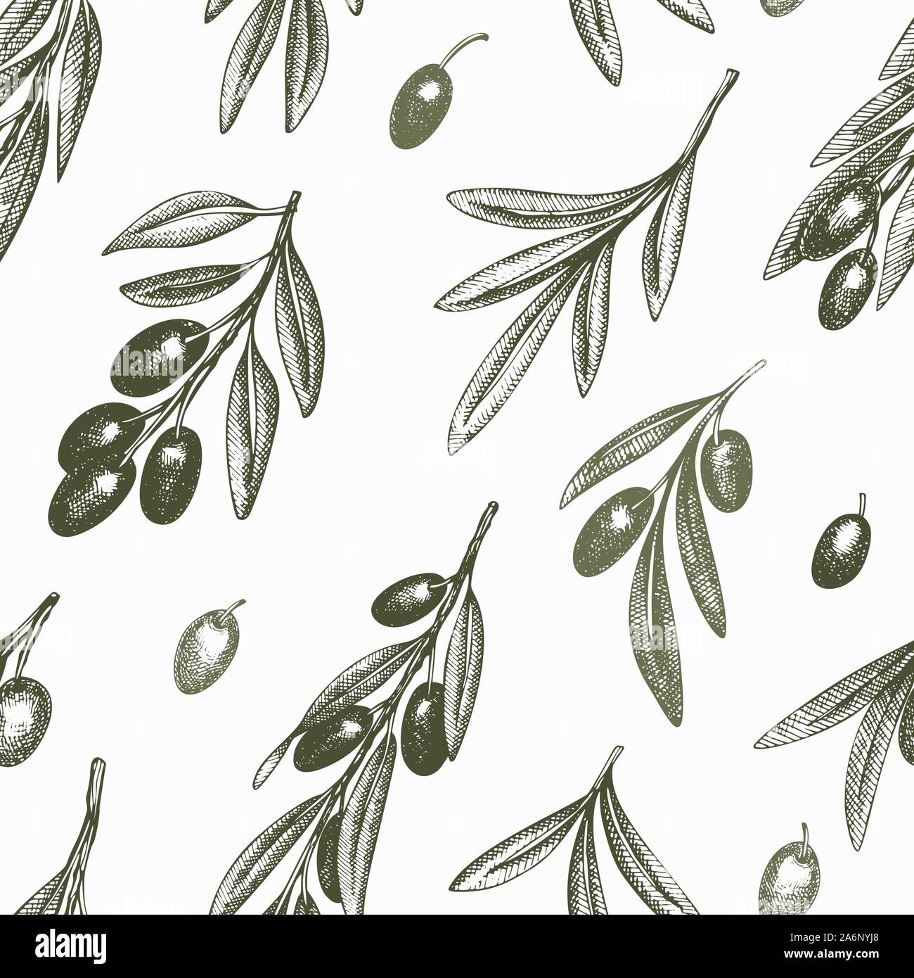 Olive branch seamless pattern. Hand drawn vector food illustration ...