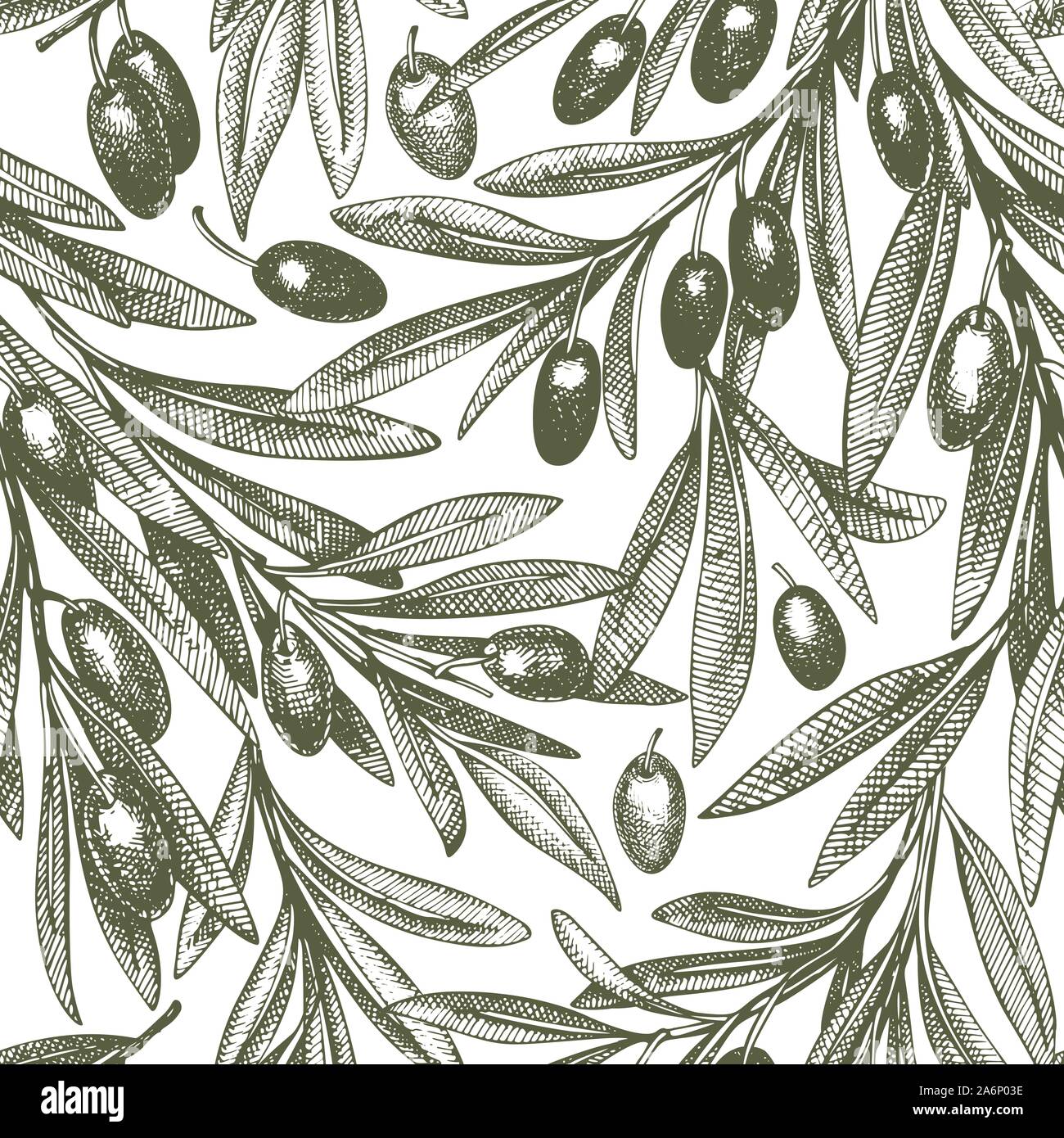 Olive branch seamless pattern. Hand drawn vector food illustration ...