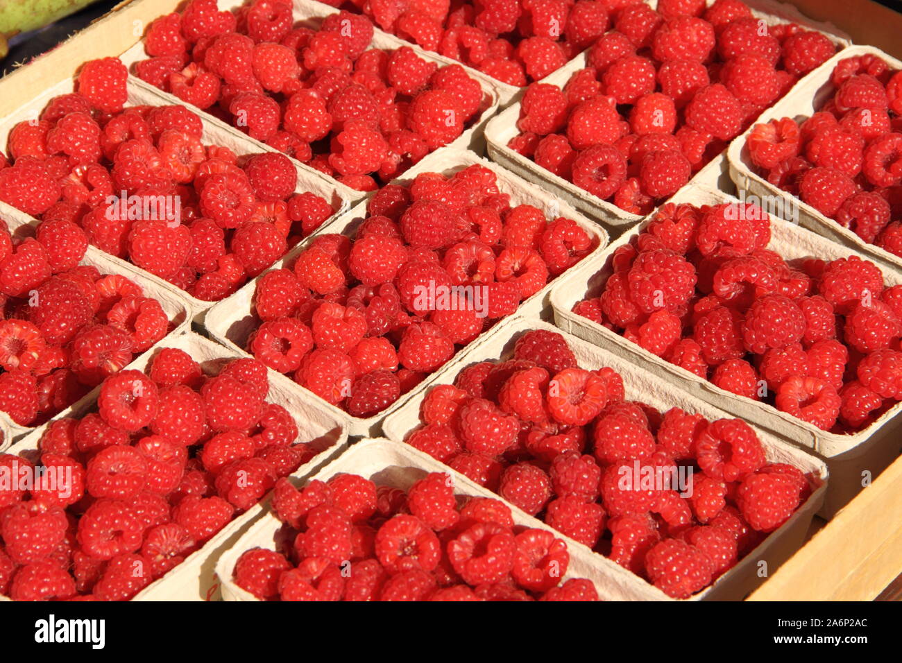 Raspberry plant for sale hires stock photography and images Alamy